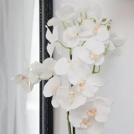 Apartment Georgia Pelekanou *