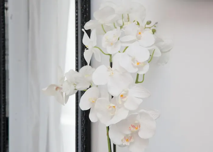 Appartement Georgia Pelekanou *